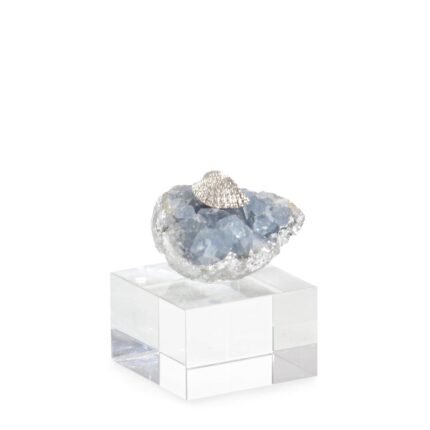 Ocean Floor Sculpture on Crystal Base III