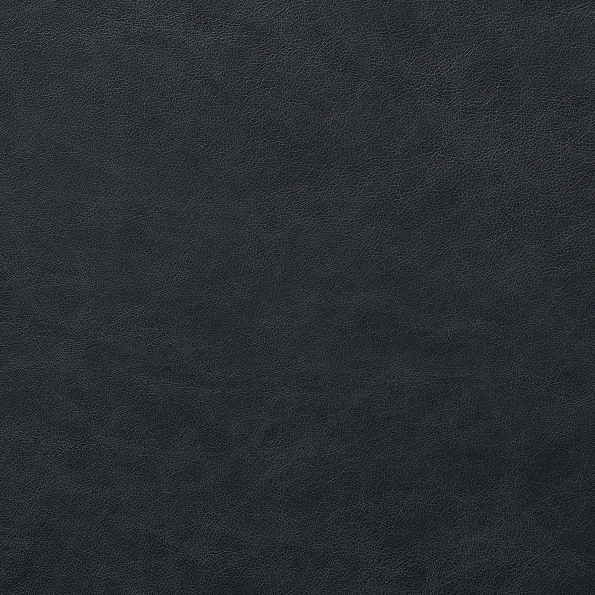 Massoud Gigi Leather Chair - Image 6