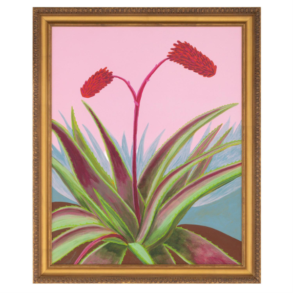 John Richard Michael Pfleghaar's Candelabra Aloe