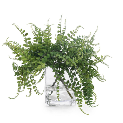 John Richard Miniature Forest Fern