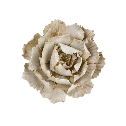 John Richard Porcelain Peony Wall Art