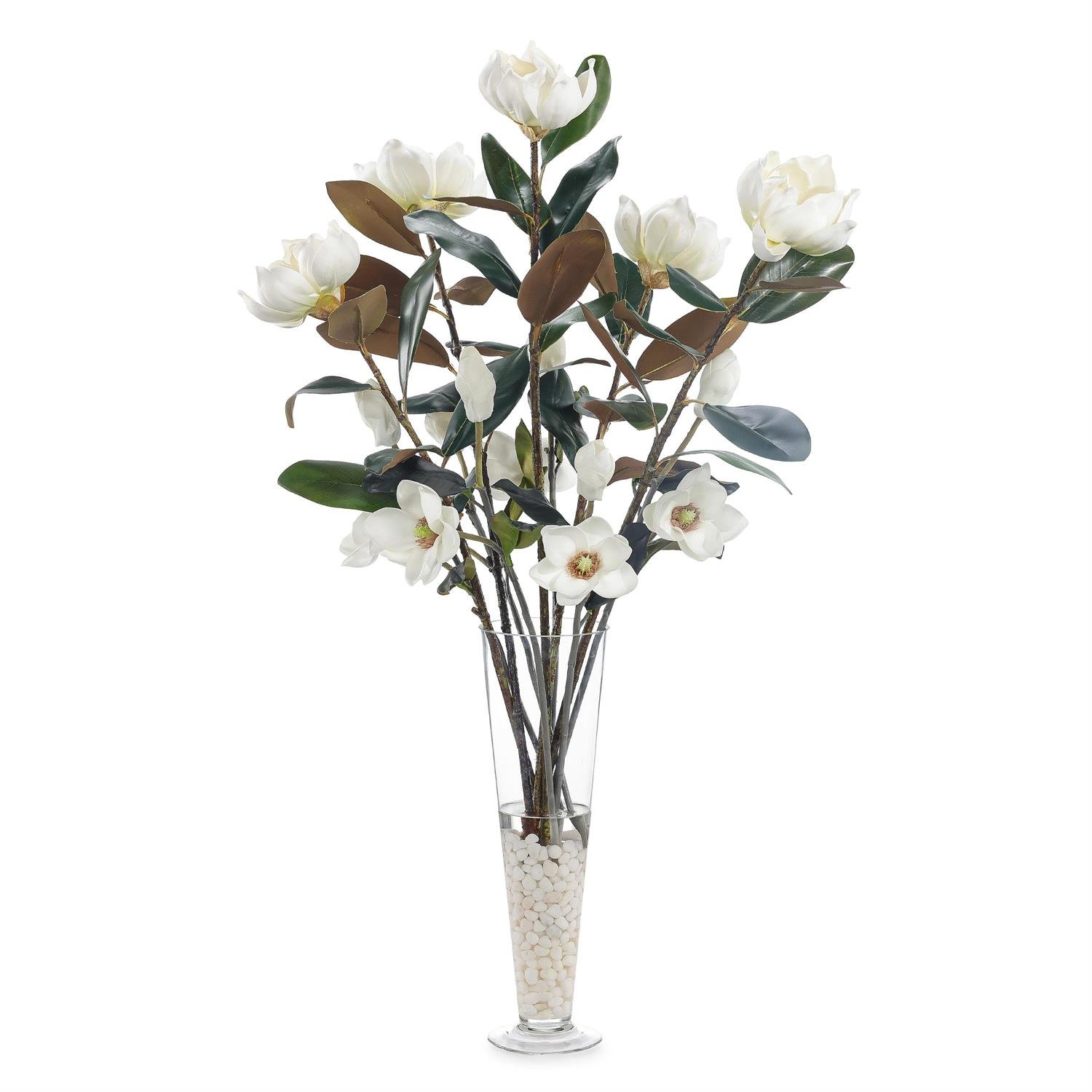 John Richard Spring Magnolias