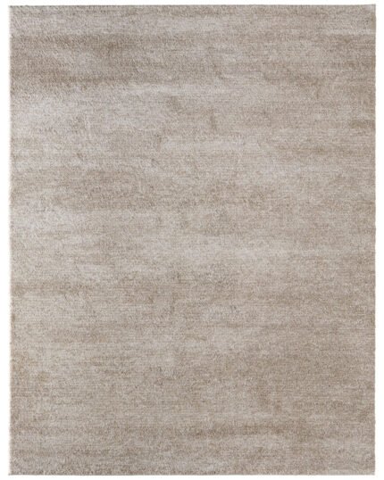 Feizy Jameson 39R8F Beige Rug